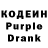 Amphetamine Premium Arthur Dzutsev