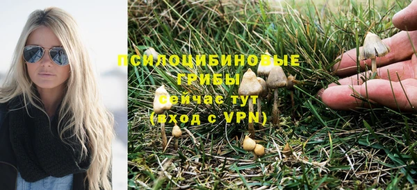 ALPHA PVP Армянск