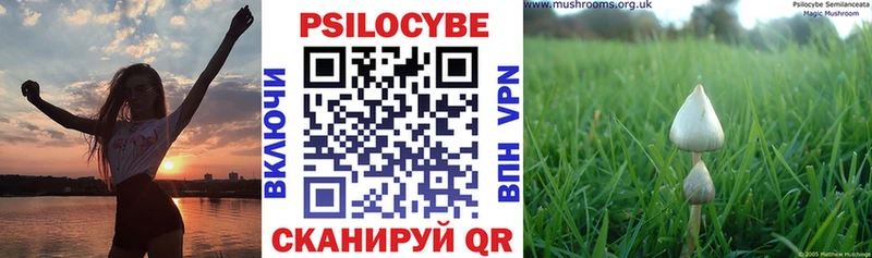 darknet официальный сайт МЕГА зеркало Морозовск Псилоцибиновые грибы Psilocybe